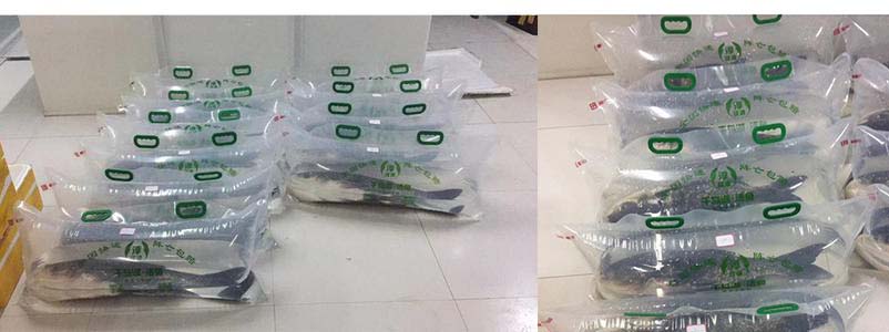 充氣包裝活魚(yú)